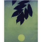 The Overstory