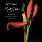 Botanica Magnifica