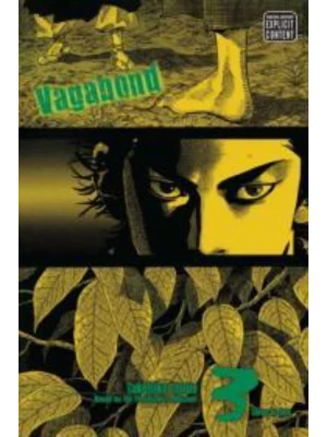Vagabond (VIZBIG Edition), Vol. 3
