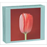 Mapplethorpe Flowers QuickNotes - QuickNotes