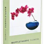 Mapplethorpe Flowers Notecard Box - Notecard Box
