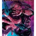 JUJUTSU KAISEN, VOL. 14 PA