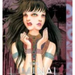 The Liminal Zone