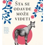 Šta se odavde može videti