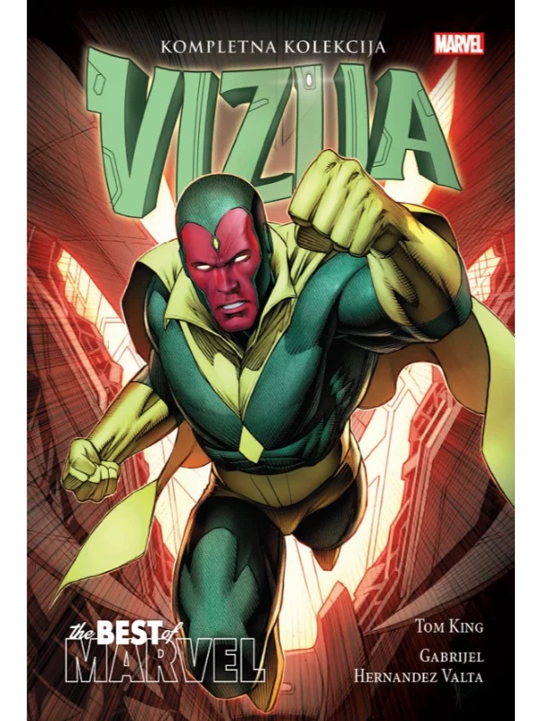 Vizija 1