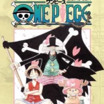 One Piece 16