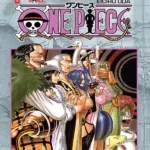 One piece 21
