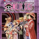 One piece 22