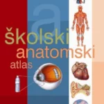 Školski anatomski atlas