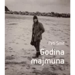 Godina majmuna