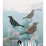 Melanholične šetnje