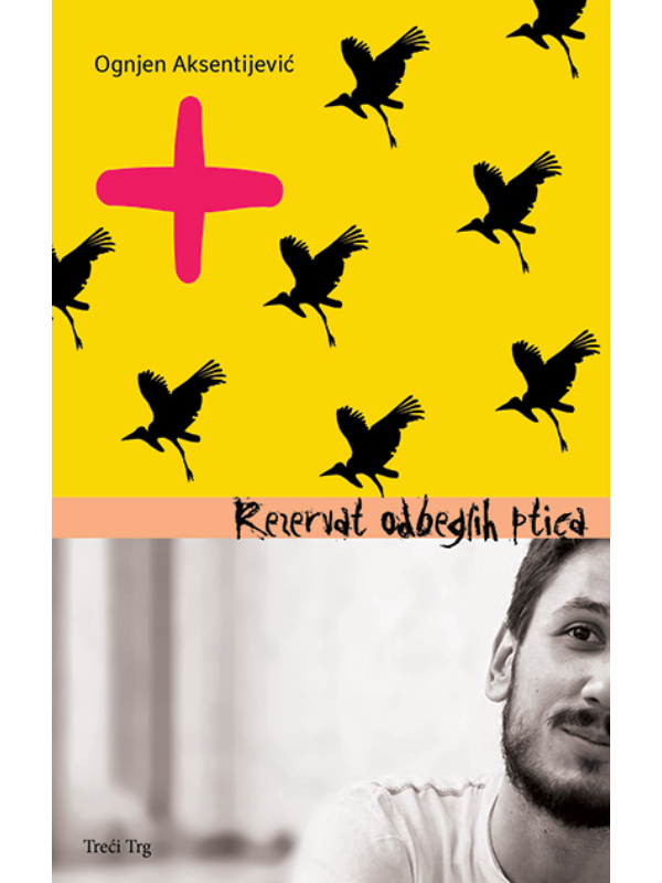 9788664071505 Rezervat odbeglih ptica - Slika 1