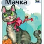 Mačka - životinje