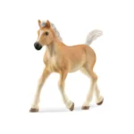 Haflinger Zdrebe