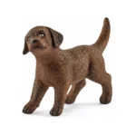 Labrador Stene