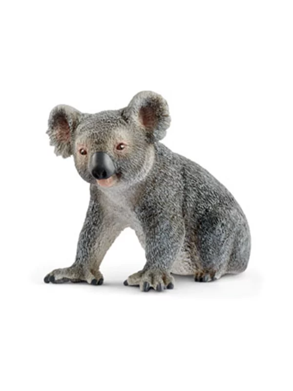 Koala - Image 1