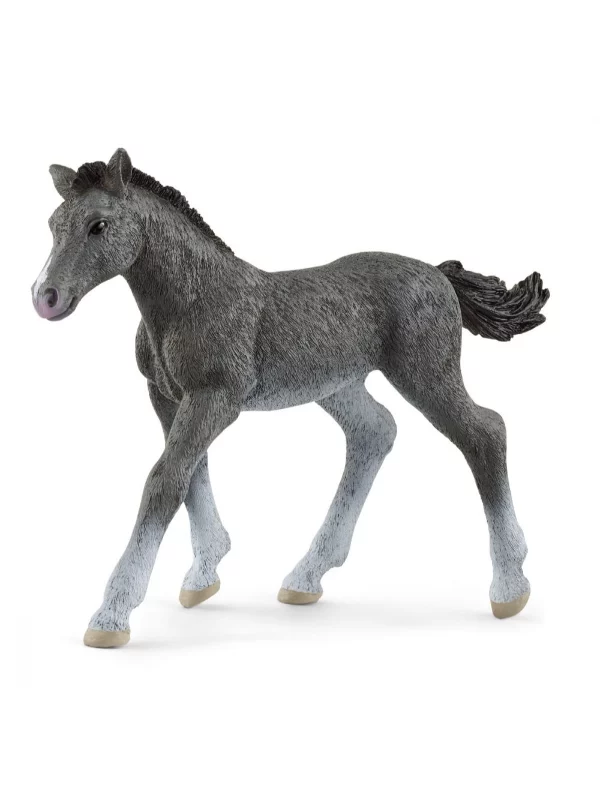 Trakehner Zdrebe 13944 1