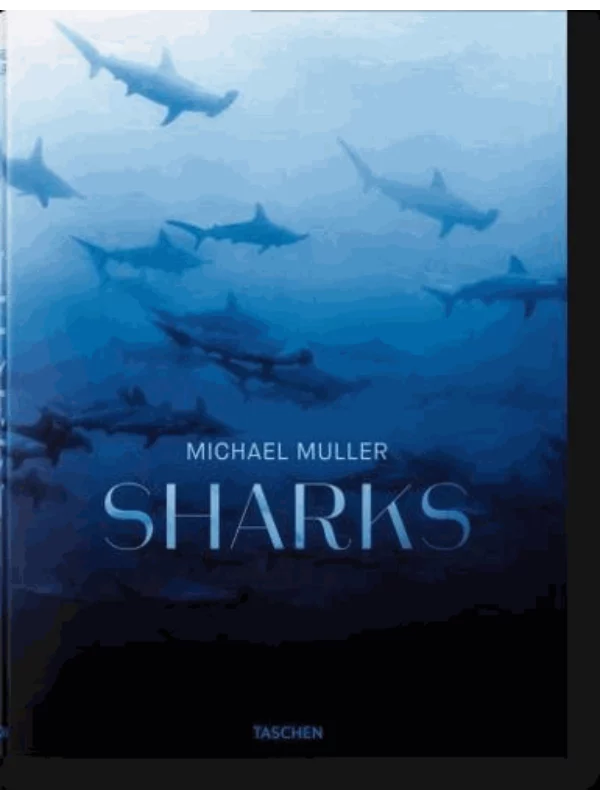 Michael Muller. Sharks - Image 1