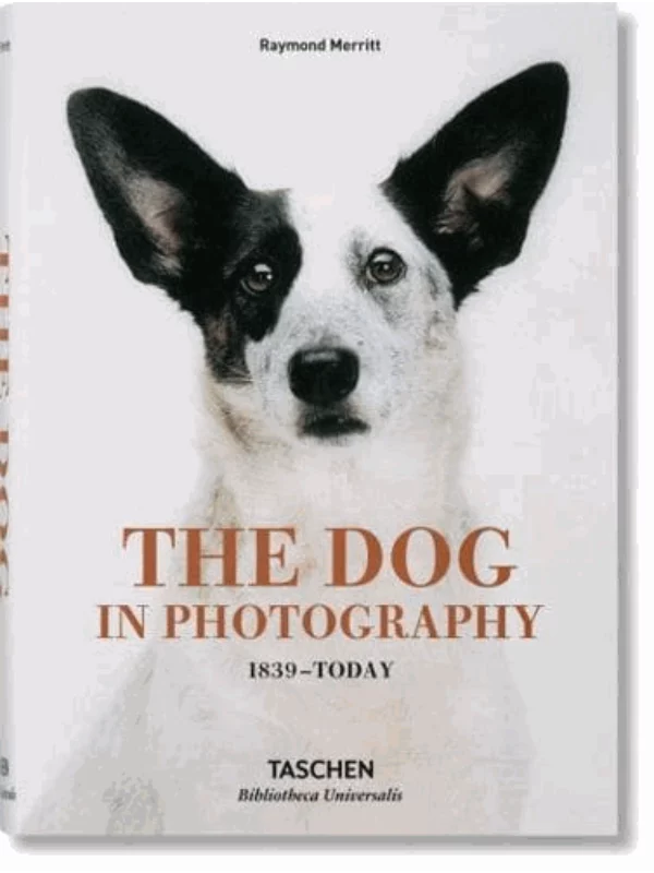 The Dog in Photography: 1839-Today - Image 1