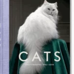 Walter Chandoha. Cats. Photographs 1942-2018