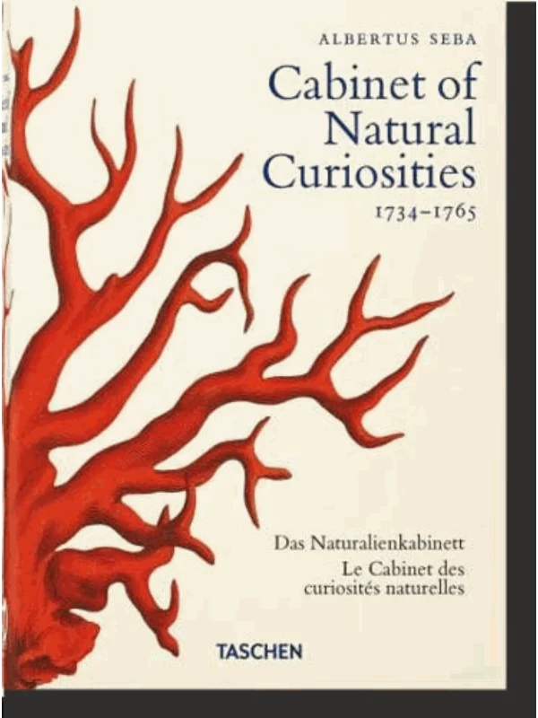 Seba. Cabinet of Natural Curiosities. 40th Ed. - Image 1