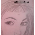 Amigdala