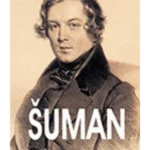 Muzička pravila za svaki dan i celi život