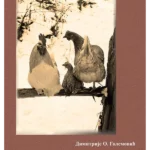 Svaka ptica svojim glasom peva