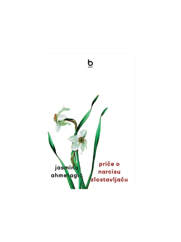 Priče o narcisu zlostavljaču 1
