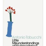 Little Misunderstandings of No Importance