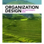 Organization Design : The Practitioner's Guide