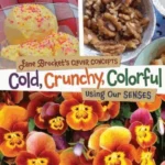 COLD, CRUNCHY, COLORFUL: USING OUR SENSES,