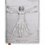 Notes Da Vinci: Vitruvian Man  (Flame Tree Notebooks)