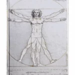 Notes za skiciranje Da Vinci: Vitruvian Man  (Luxury Sketch Books)