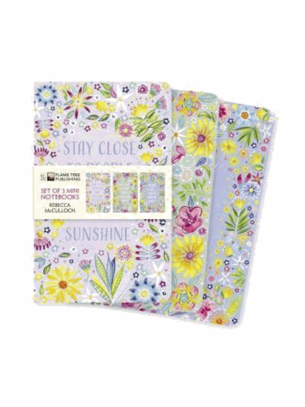 9781839647178 Rebecca McCulloch: Positivity Set of 3 Mini Notebooks - Slika 1