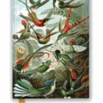 Ernst Haeckel: Hummingbirds (Foiled Journal)