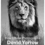 David Yarrow : How I Make Photographs