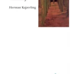 Južnoameričke meditacije