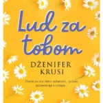 Lud za tobom