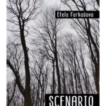 Scenario