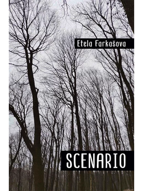 Scenario - Image 1