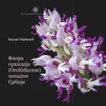 4749 Flora orhideja (Orchidaceae) zapadne Srbije