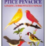 Ptice pevačice kanarinci šumske pevačice i papagaji