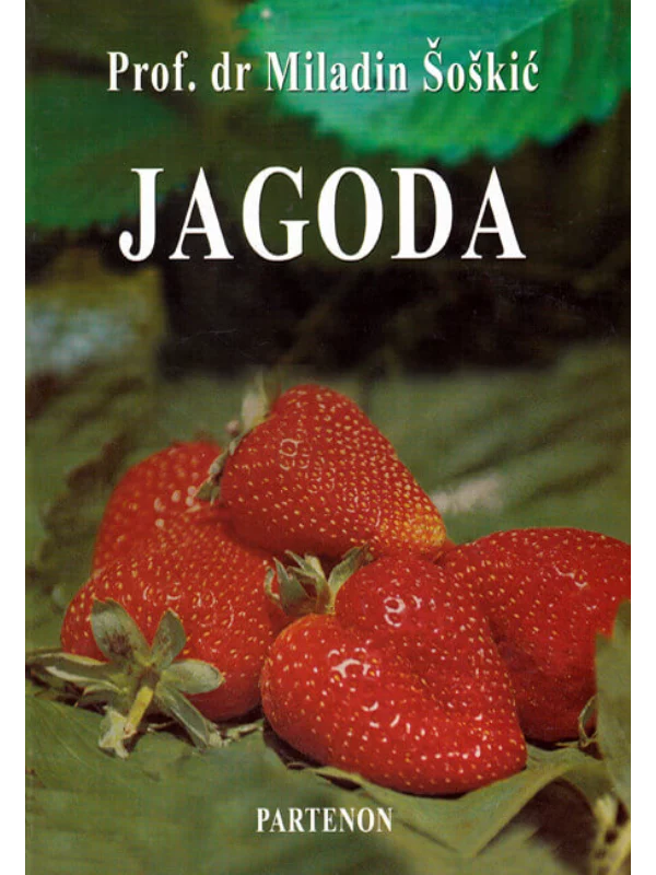 Jagoda 1