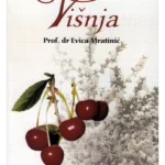 Višnja