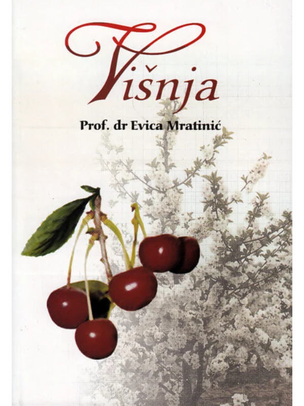 Višnja 1