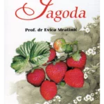 Jagoda