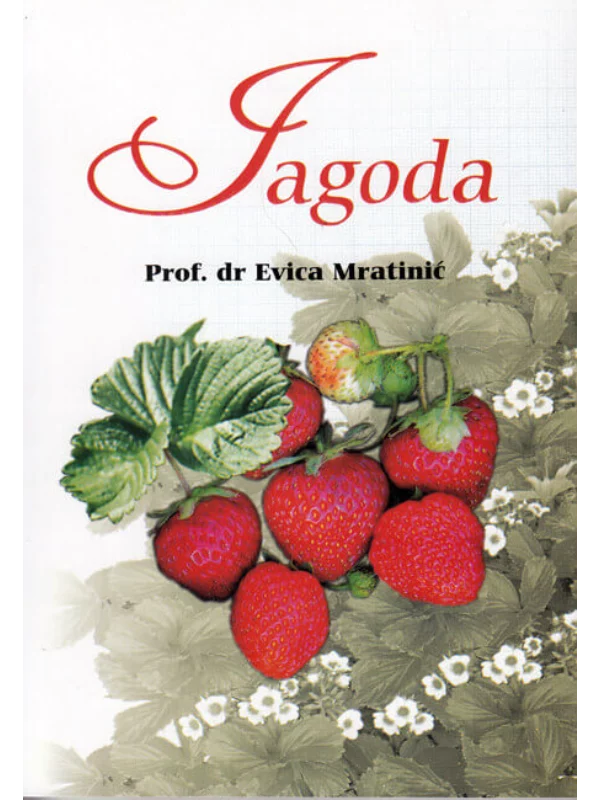 Jagoda - Image 1