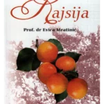 Kajsija