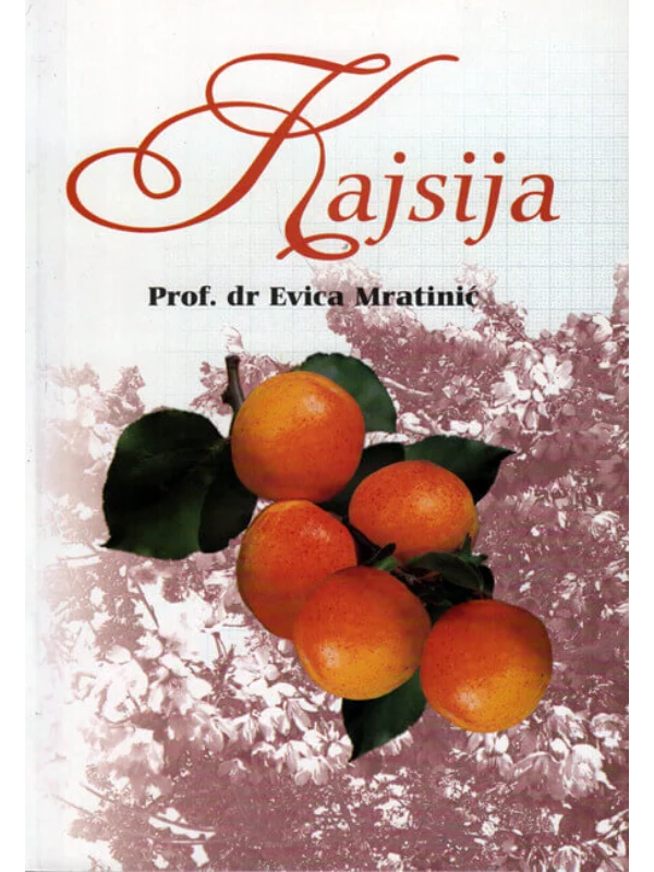 Kajsija - Image 1